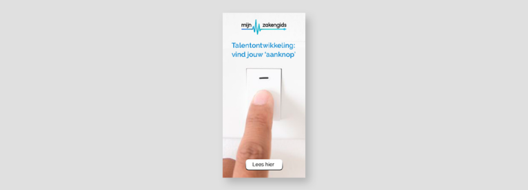 MZG Google Adwords Banner Talent - halfpage